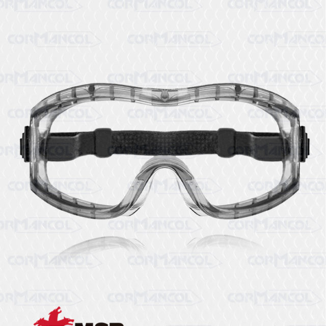 Gafas de Seguridad 2310AF